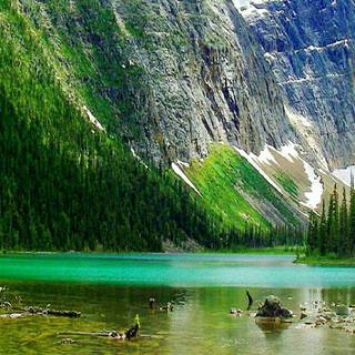 Fantastic landscape wallpaper