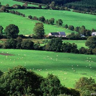 Cork Ireland wallpaper