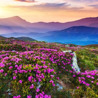 Natural landscape computer wallpaper