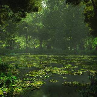 Natural landscape computer wallpaper