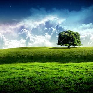 Natural landscape computer wallpaper