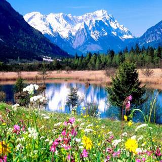 Natural landscape computer wallpaper