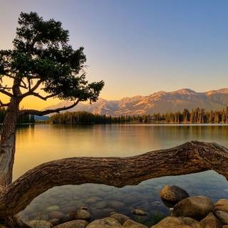 Natural landscape computer wallpaper