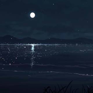 Beach night anime wallpaper