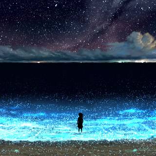 Beach night anime wallpaper