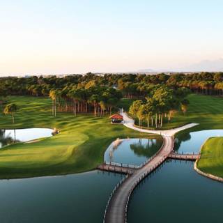 Golf phone wallpaper