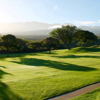 Golf course 4k wallpaper