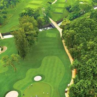 Golf phone wallpaper