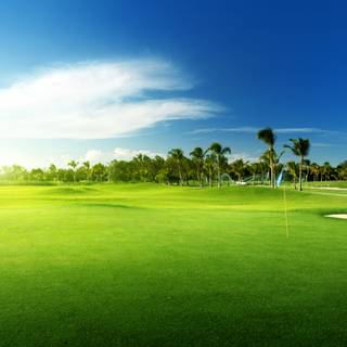 Golf course 4k wallpaper