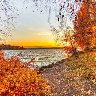 Warm autumn desktop wallpaper