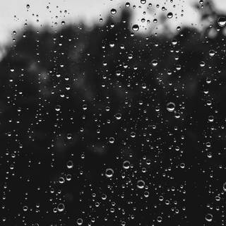 Black and white rain wallpaper