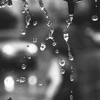 Black and white rain wallpaper