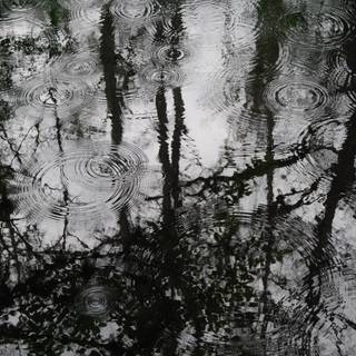 Black and white rain wallpaper