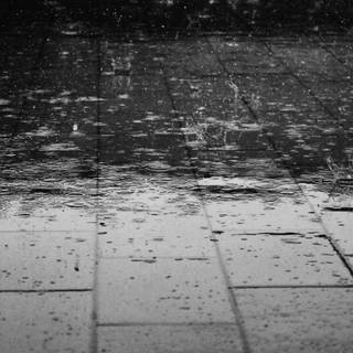 Black and white rain wallpaper