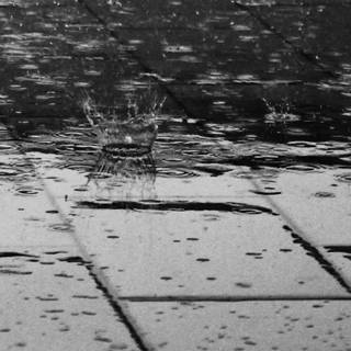 Black and white rain wallpaper