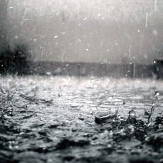 Black and white rain wallpaper