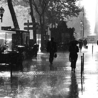 Black and white rain wallpaper