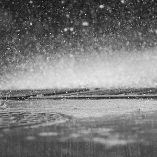 Black and white rain wallpaper