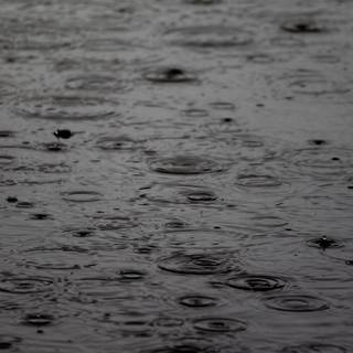 Black and white rain wallpaper