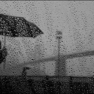 Black and white rain wallpaper