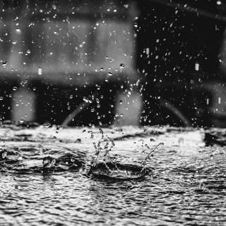 Black and white rain wallpaper