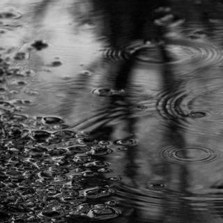 Black and white rain wallpaper