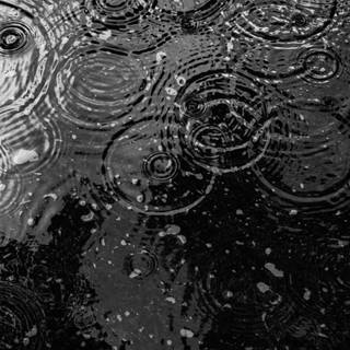 Black and white rain wallpaper