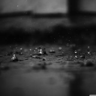 Black and white rain wallpaper