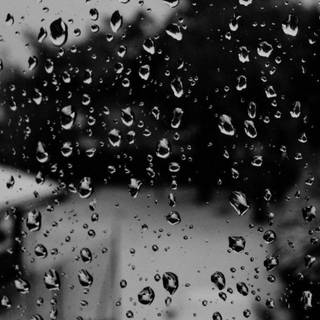 Black and white rain wallpaper
