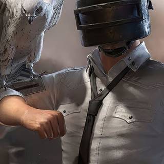 PUBG phone 4k wallpaper