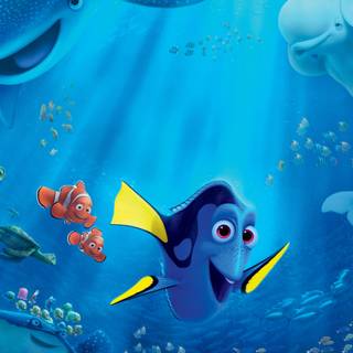 Finding Nemo 4k wallpaper