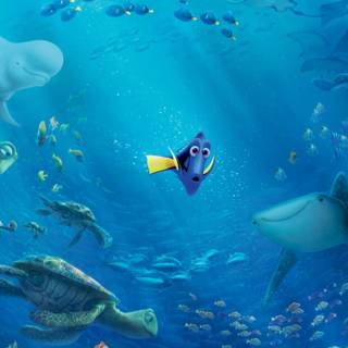 Finding Nemo 4k wallpaper