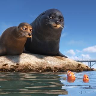 Finding Nemo 4k wallpaper