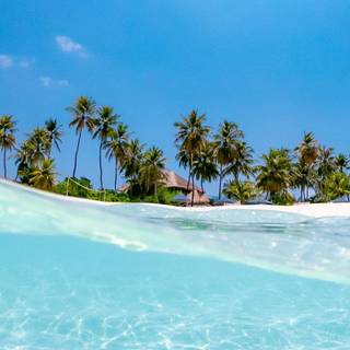 Water beach wallpaper