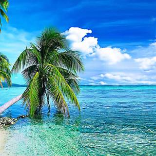 Water beach wallpaper