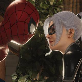 Black Cat Spider-Man wallpaper