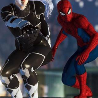 Black Cat Spider-Man wallpaper