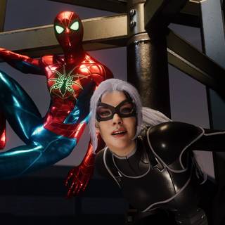 Black Cat Spider-Man wallpaper