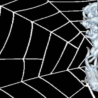 Black Cat Spider-Man wallpaper