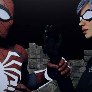 Black Cat Spider-Man wallpaper