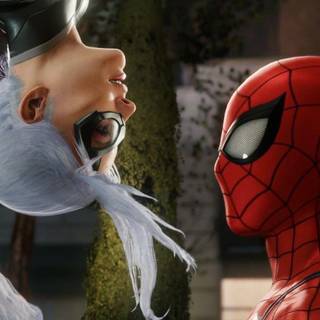 Black Cat Spider-Man wallpaper