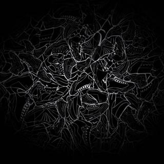 Sneakerheads wallpaper