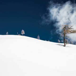 Minimalist ski wallpaper