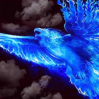 Cool blue Phoenix wallpaper