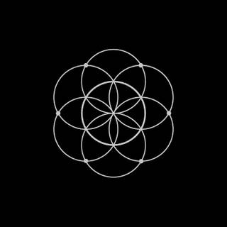 Beautiful seed wallpaper