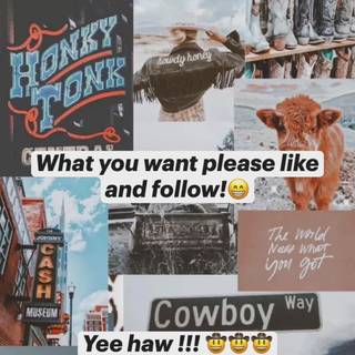 Please follow wallpaper