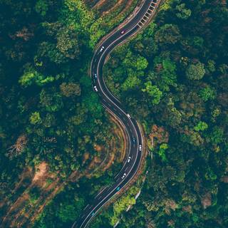 Cars top view wallpaper