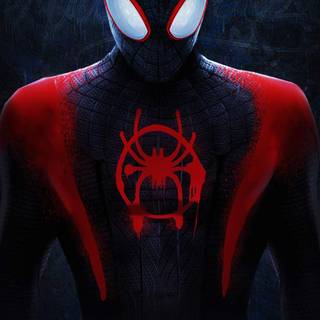 Black and red Spider-Man wallpaper