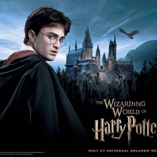 The Wizarding World of Harry Potter wallpaper