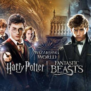 The Wizarding World of Harry Potter wallpaper